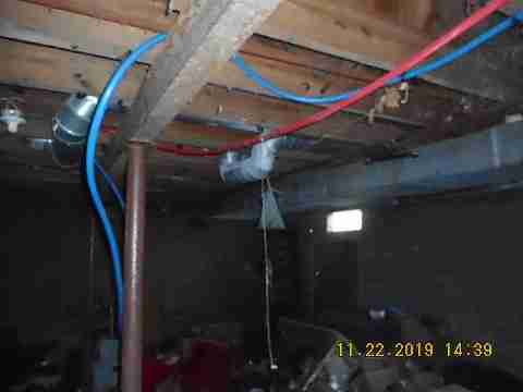 9226 Forrer (55)_m.jpg